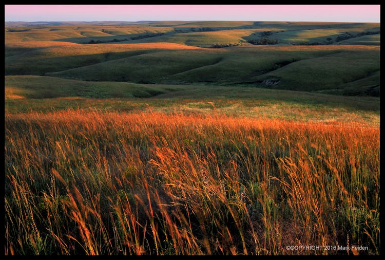 40 years In The Flint Hills, 7 p.m. Thurs., Nov. 10