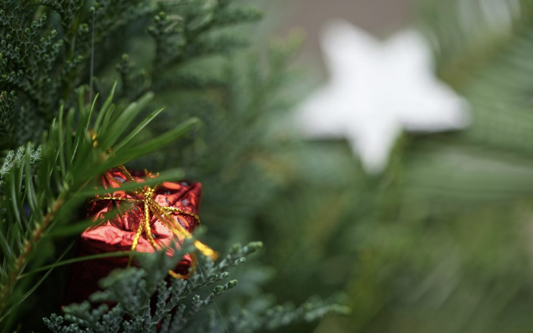 evergreen tree with package and star