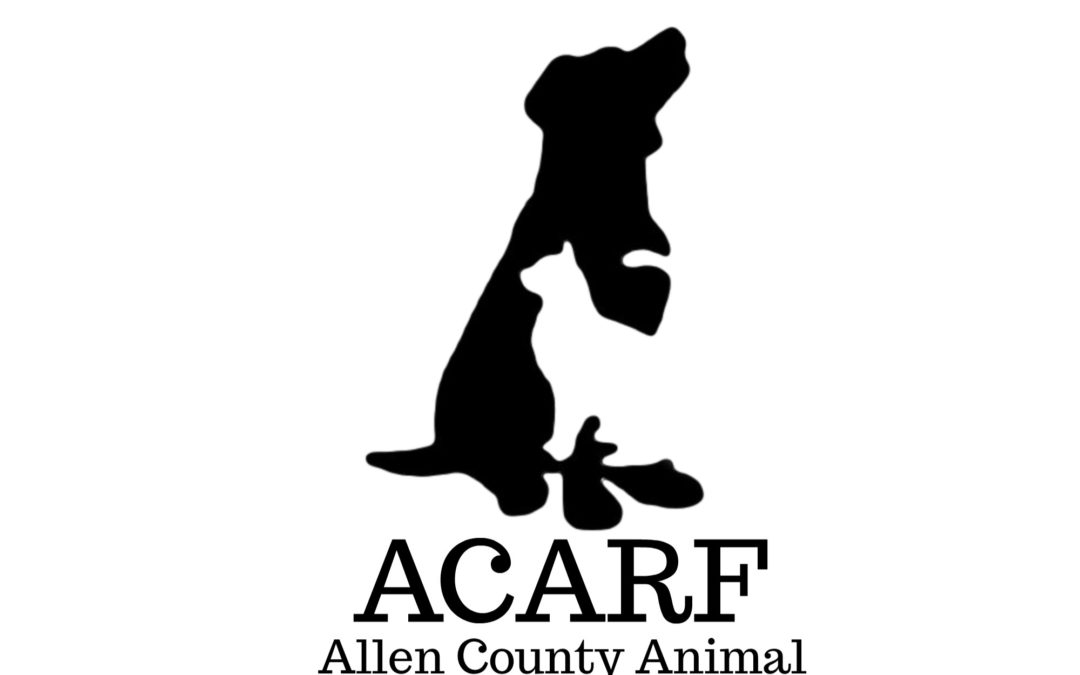 ACARF Adoption Day Saturday