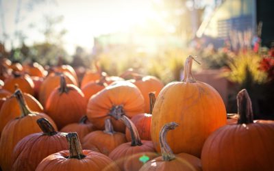October Calendar of Events